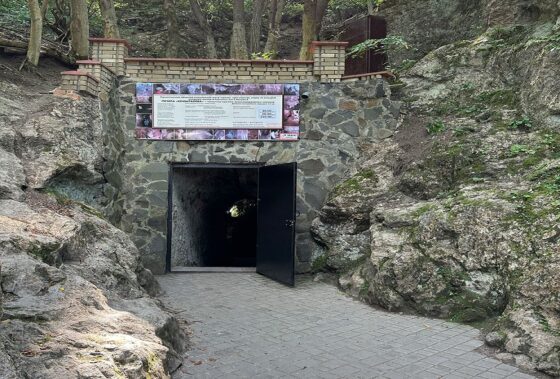 Плебанівський ліцей – Кришталева печера в м.Кам’янець-Подільський