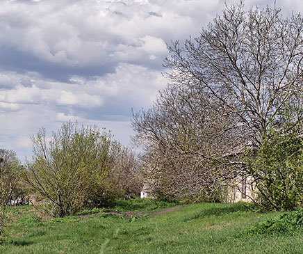 Природа в селі Калинівка