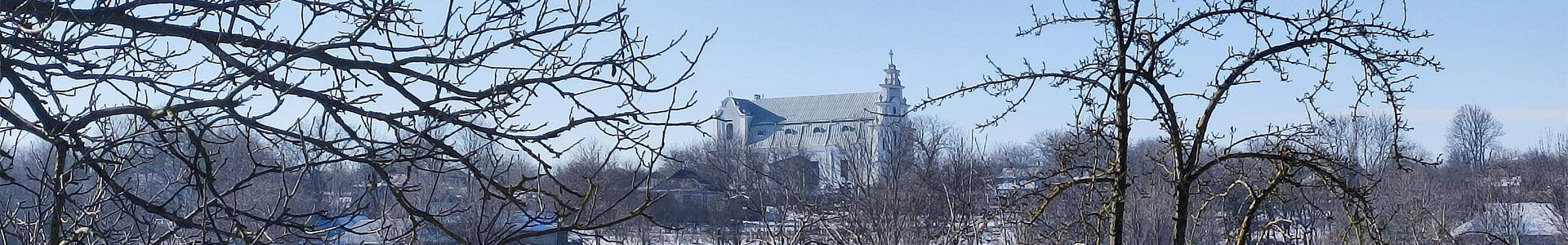 Плебанівка — панорама села