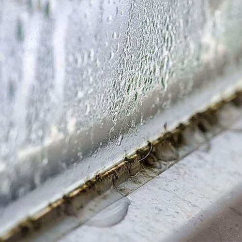 Захист від цвілі: ефективні стратегії боротьби з грибком на вікнах і балконах