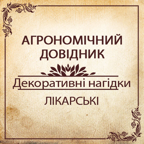 Агрономічний довідник - декоративні нагідки
