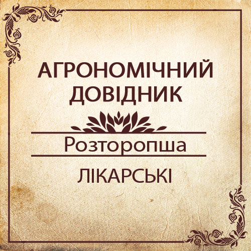 Агрономічний довідник -розторопша