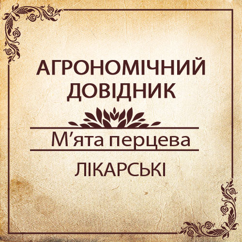 Агрономічний довідник -м’ята перцева