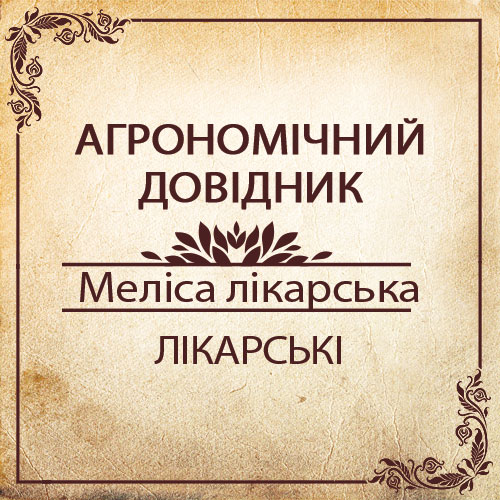 Агрономічний довідник -меліса лікарська