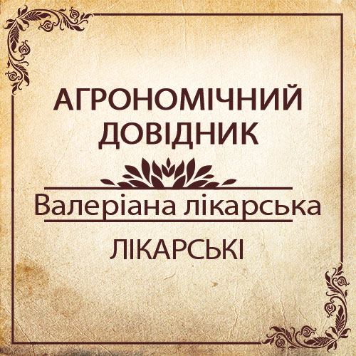 Агрономічний довідник -валеріана лікарська