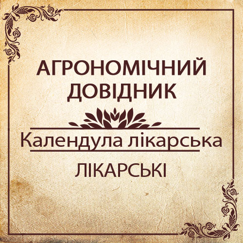 Агрономічний довідник -календула лікарська