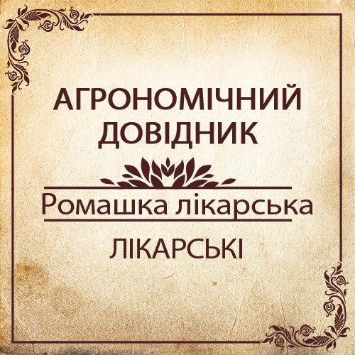 Агрономічний довідник -ромашка лікарська
