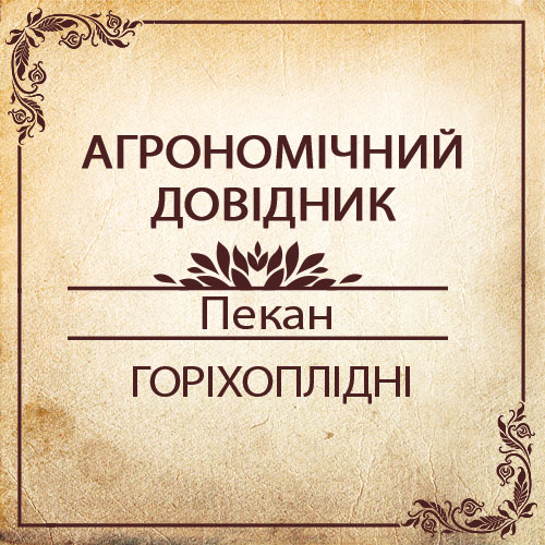 Агрономічний довідник -пекан