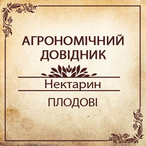 Агрономічний довідник -нектарин