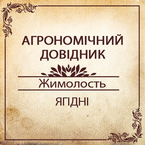 Агрономічний довідник -жимолость