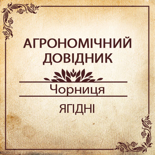 Агрономічний довідник -чорниця