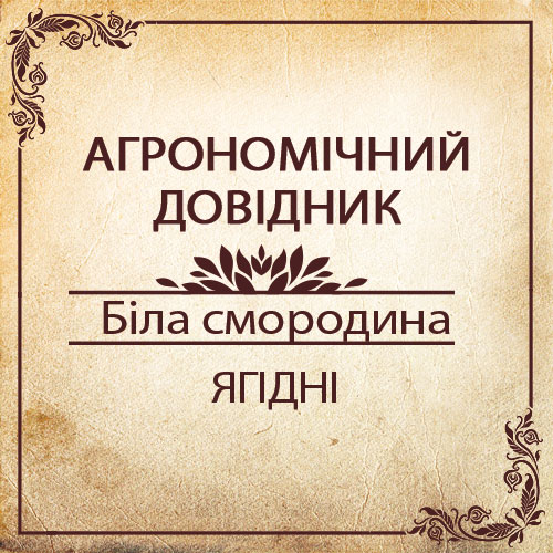 Агрономічний довідник -біла смородина