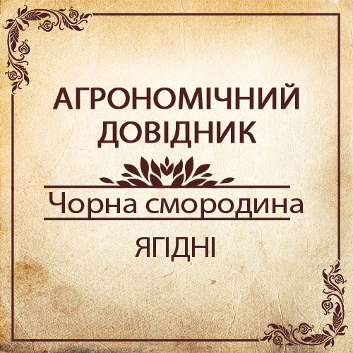 Агрономічний довідник -чорна смородина