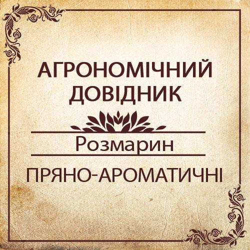 Агрономічний довідник -розмарин