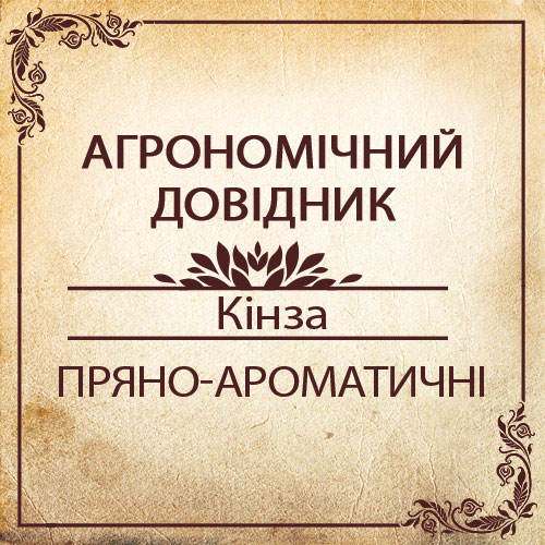 Агрономічний довідник -кінза