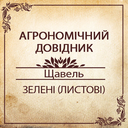 Агрономічний довідник -щавель