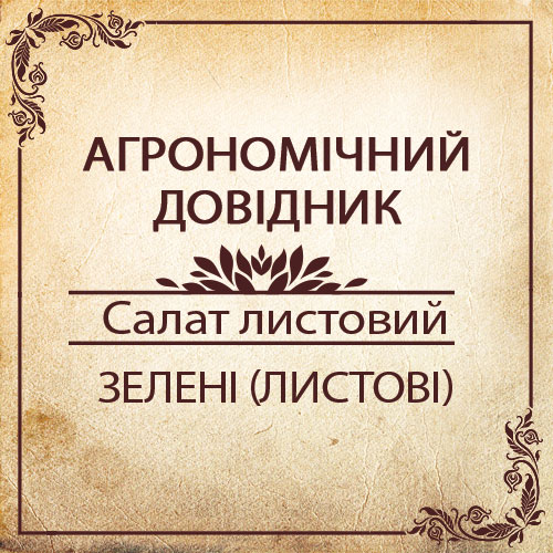 Агрономічний довідник -салат листовий
