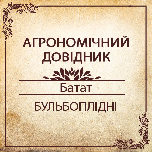 Агрономічний довідник -батат