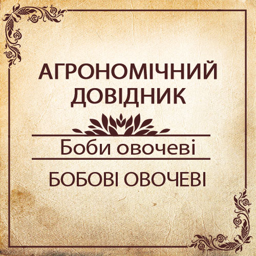 Агрономічний довідник -боби овочеві