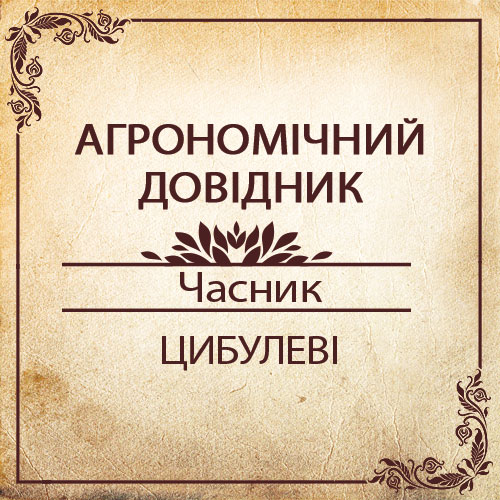 Агрономічний довідник -часник