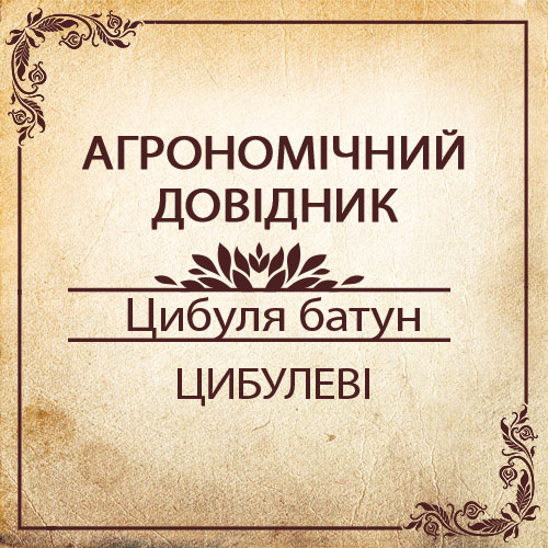 Агрономічний довідник -цибуля батун