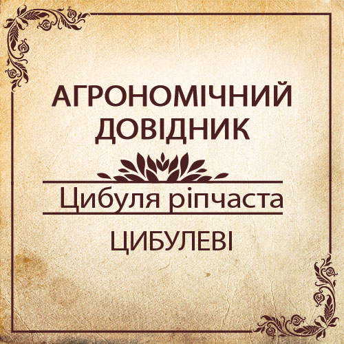 Агрономічний довідник -цибуля ріпчаста