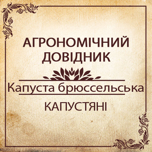 Агрономічний довідник -капуста брюссельська