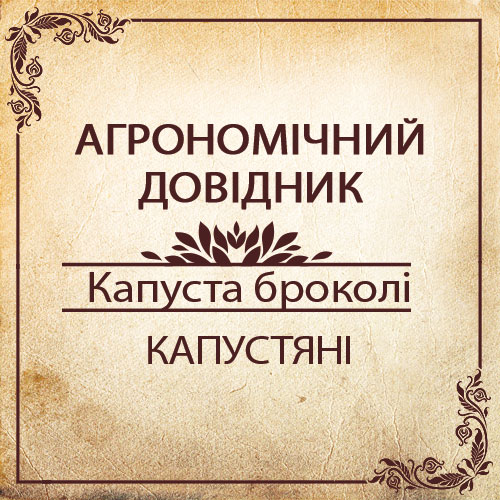 Агрономічний довідник -капуста броколі