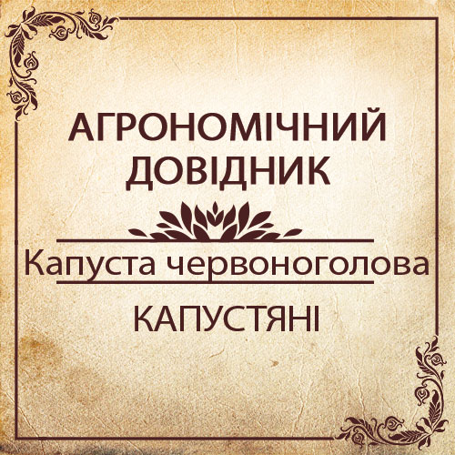 Агрономічний довідник -капуста червоноголова