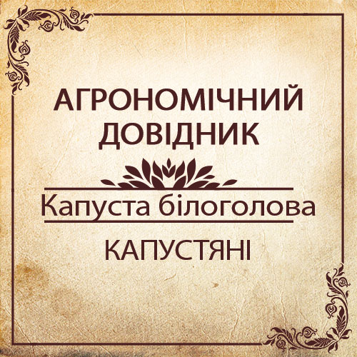 Агрономічний довідник -капуста білоголова