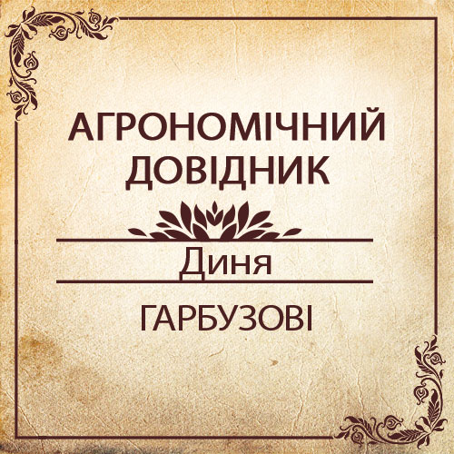 Агрономічний довідник -диня