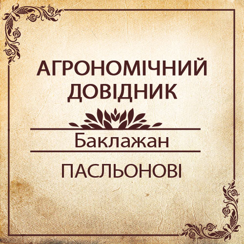 Агрономічний довідник -баклажан